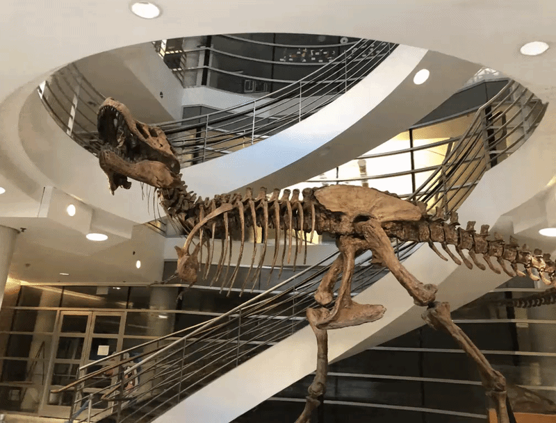 trex nerf paper.gif